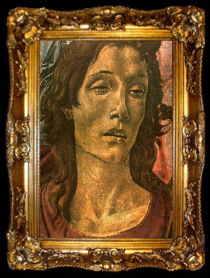 framed  BOTTICELLI, Sandro San Barnaba Altarpiece (detail: head of St John) gdfg, ta009-2